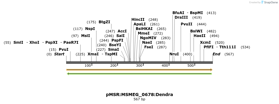 307016_map
