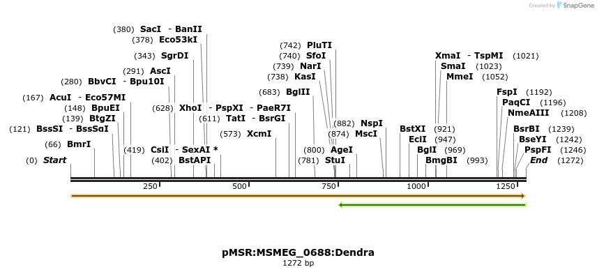 307017_map