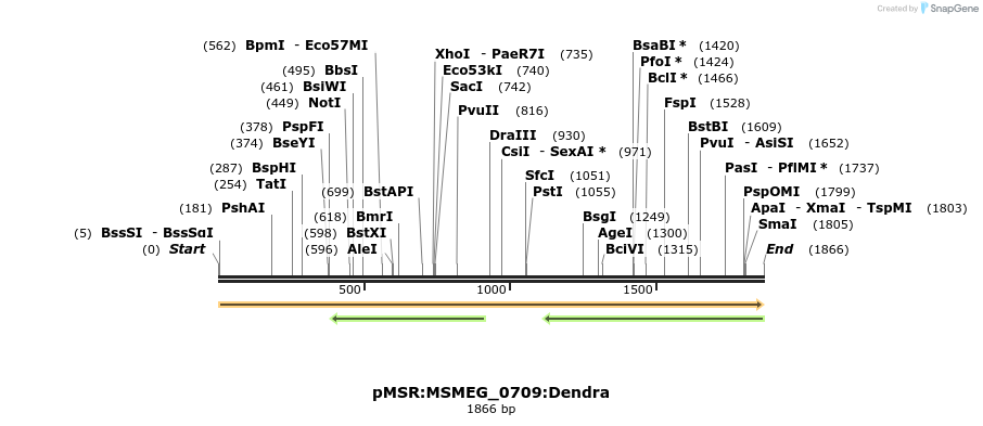 307019_map