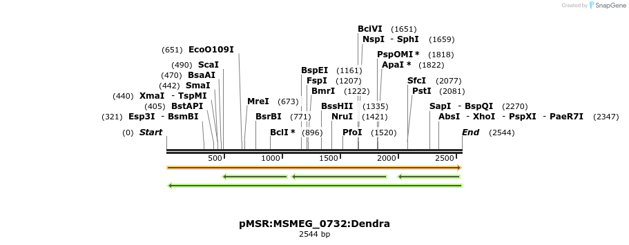 307021_map