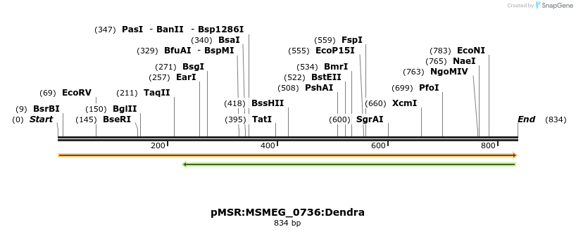 307022_map