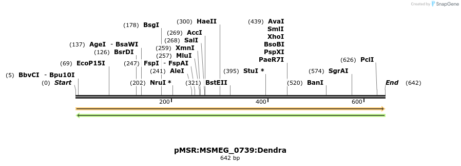 307023_map
