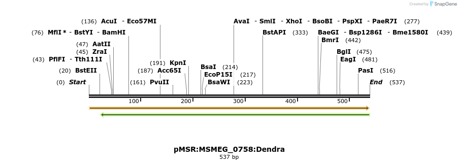 307025_map