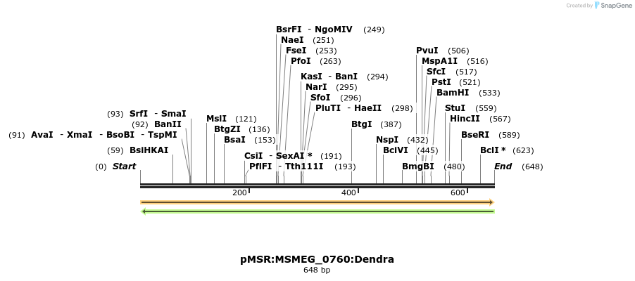 307026_map