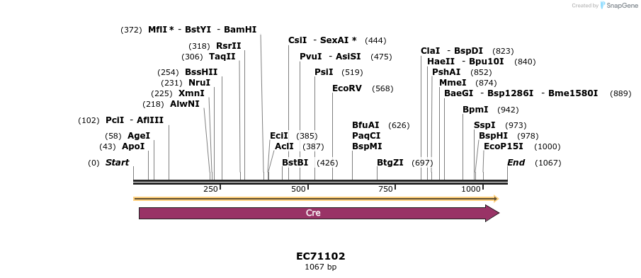 307027_map