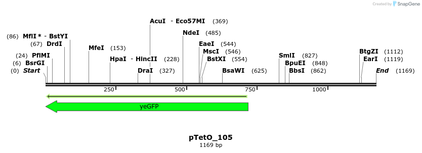 307032_map