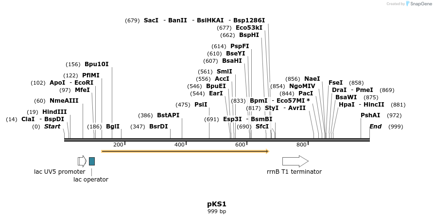 30706_map