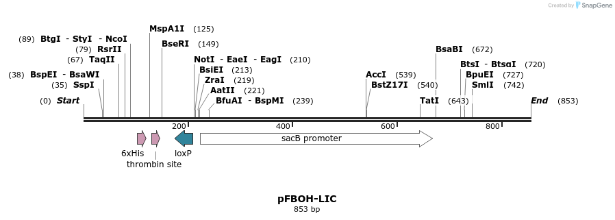 30707_map