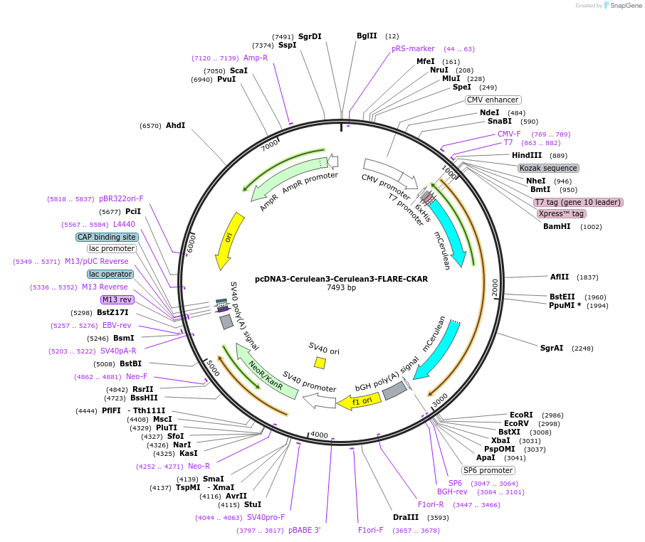 307099_map