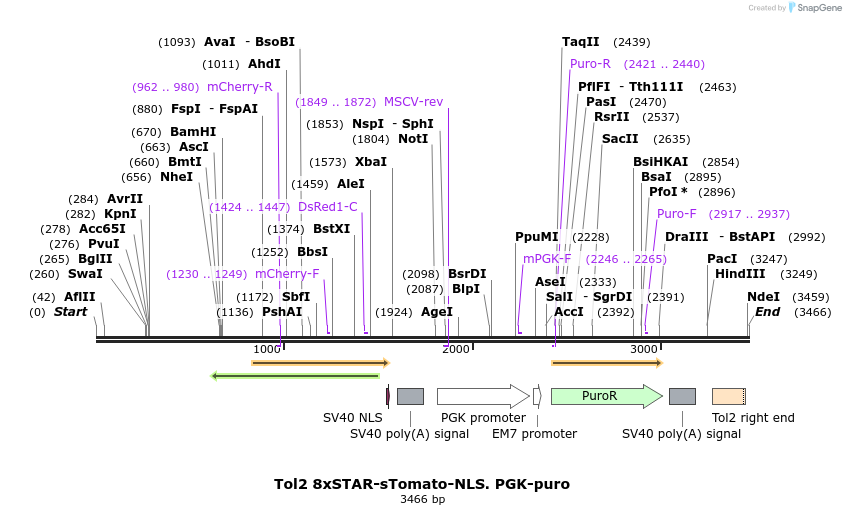 307153_map