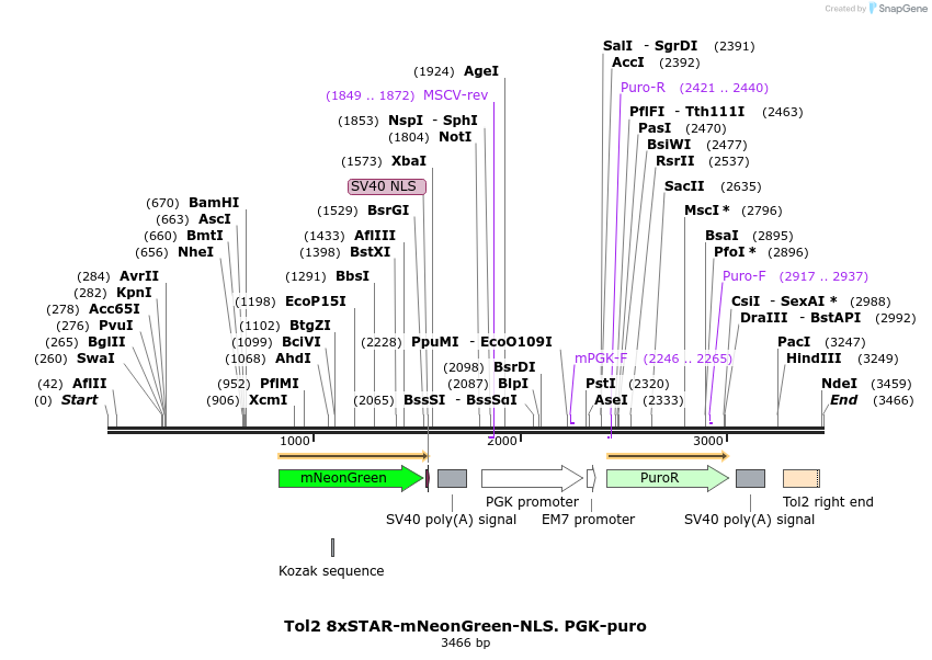 307155_map