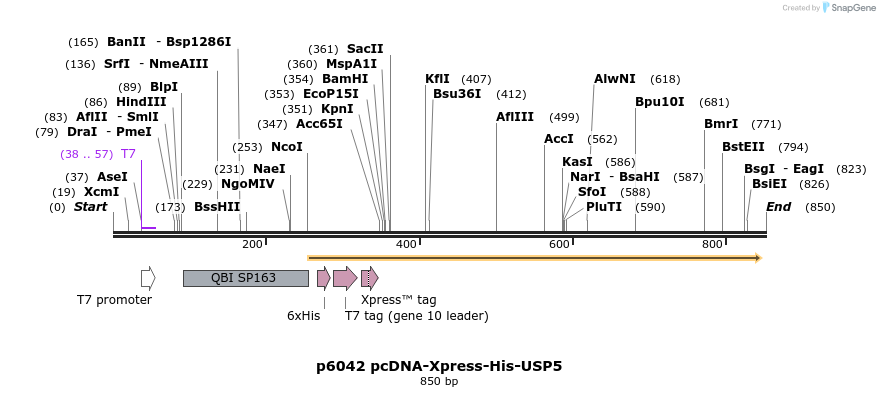 30717_map
