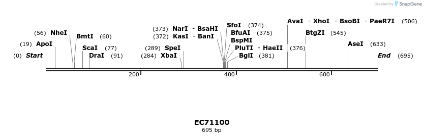 307175_map