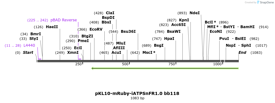 307177_map