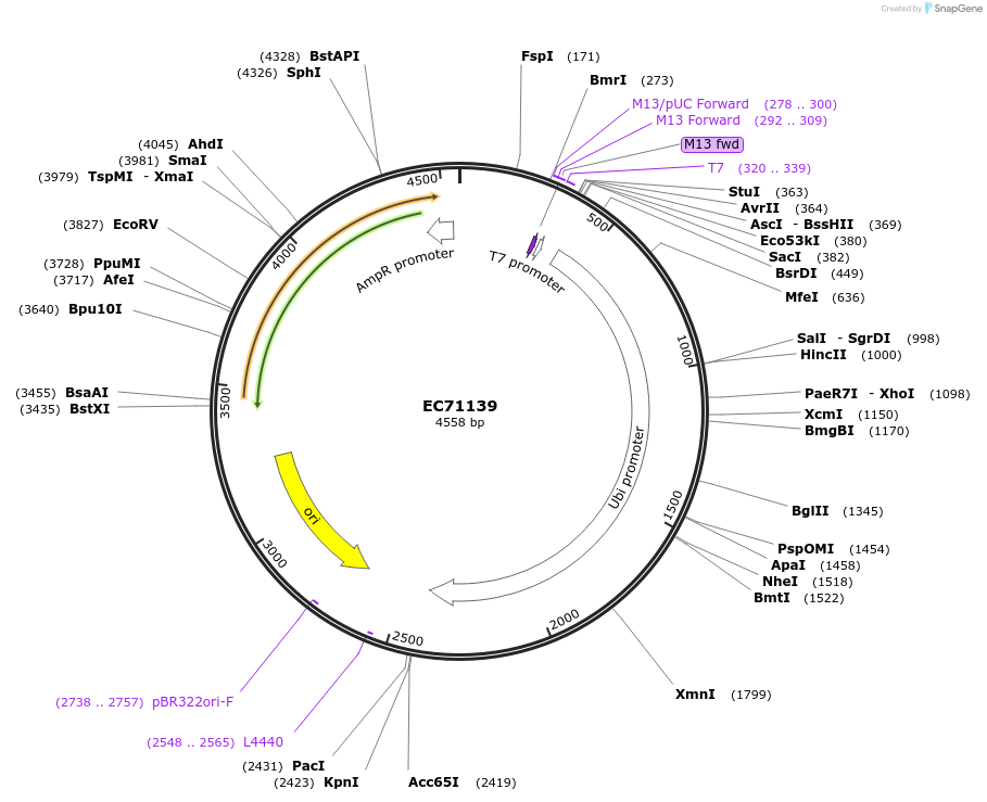 307182_map