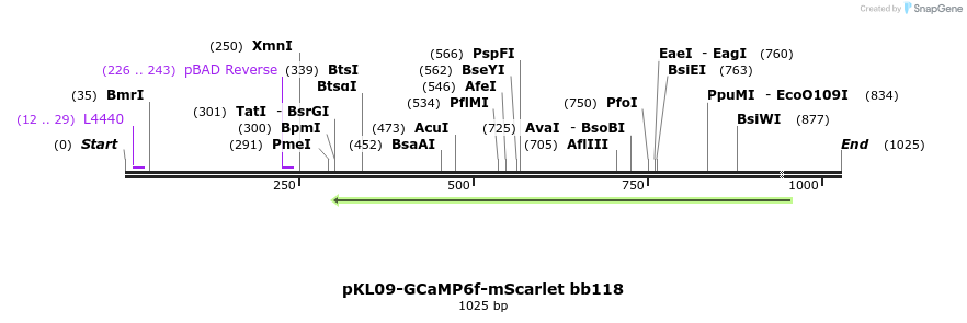 307208_map