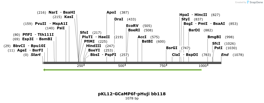 307214_map