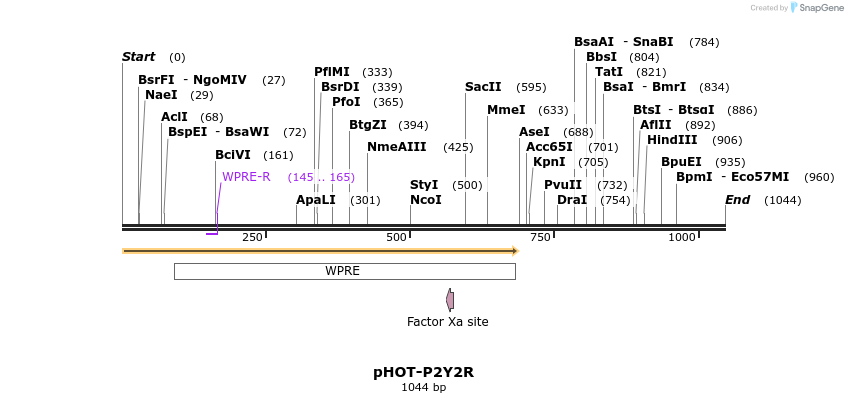 307242_map