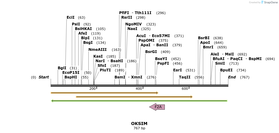 30731_map