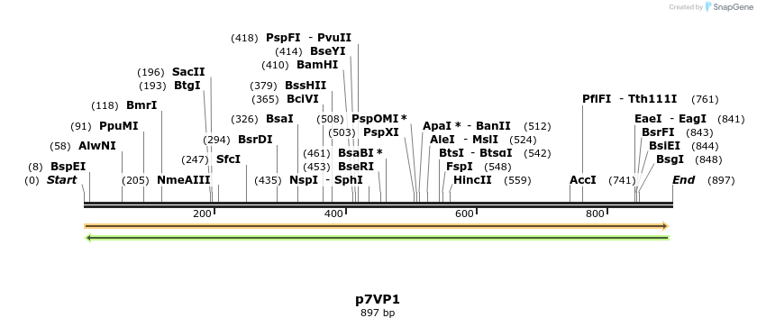 30735_map