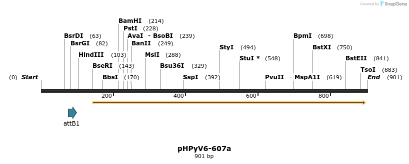 30736_map