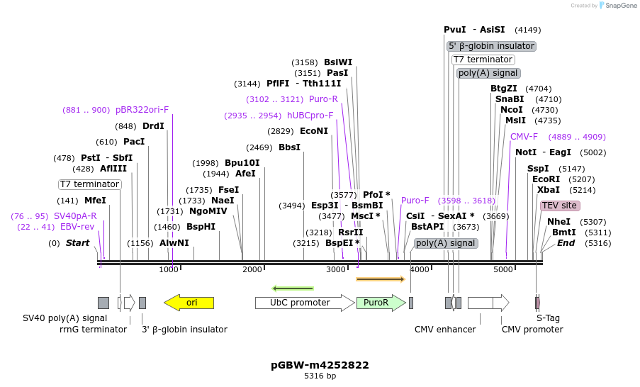307364_map