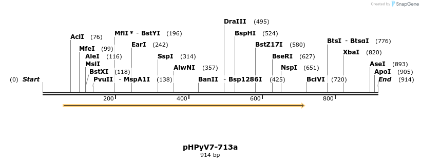 30737_map