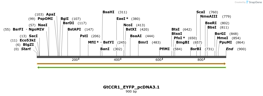 307418_map