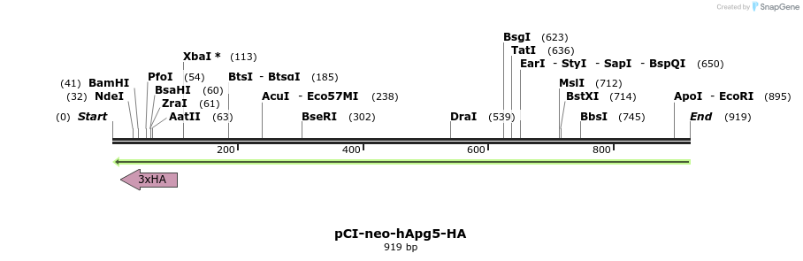 30742_map