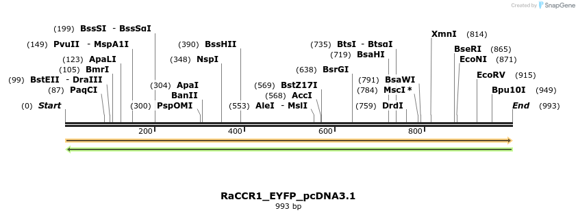 307420_map