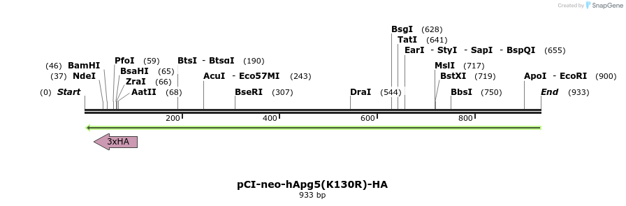 30743_map
