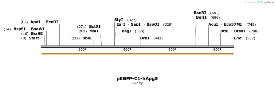 30746_map