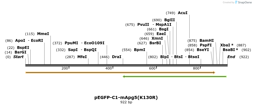 30750_map