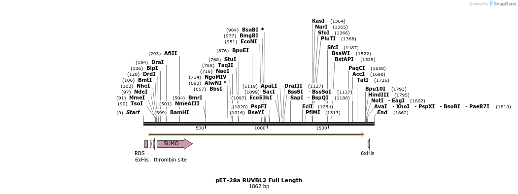 307504_map