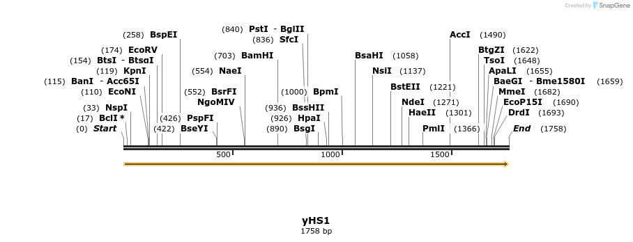 307511_map