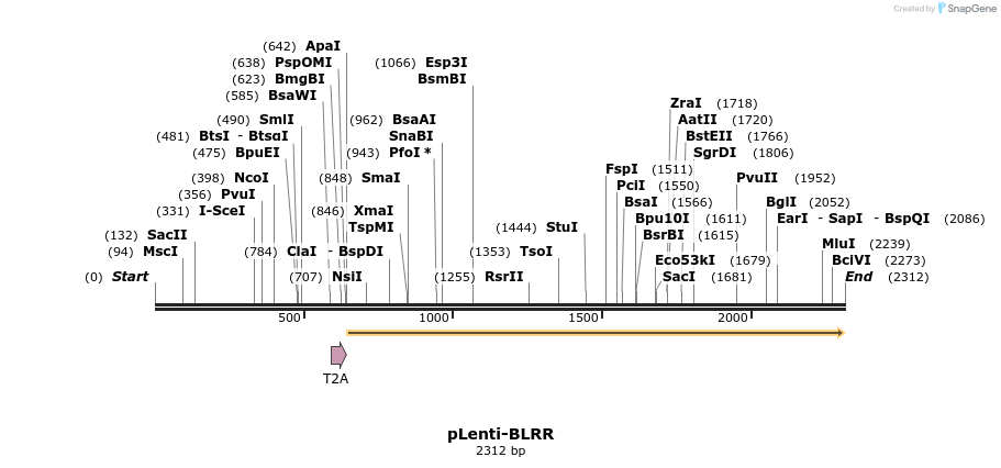 307512_map
