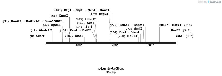 307513_map