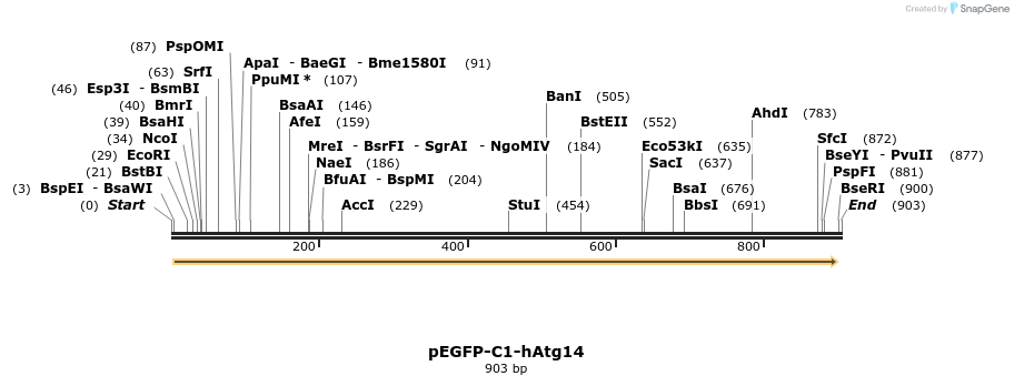30755_map