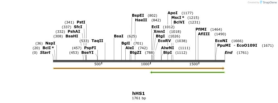 307555_map