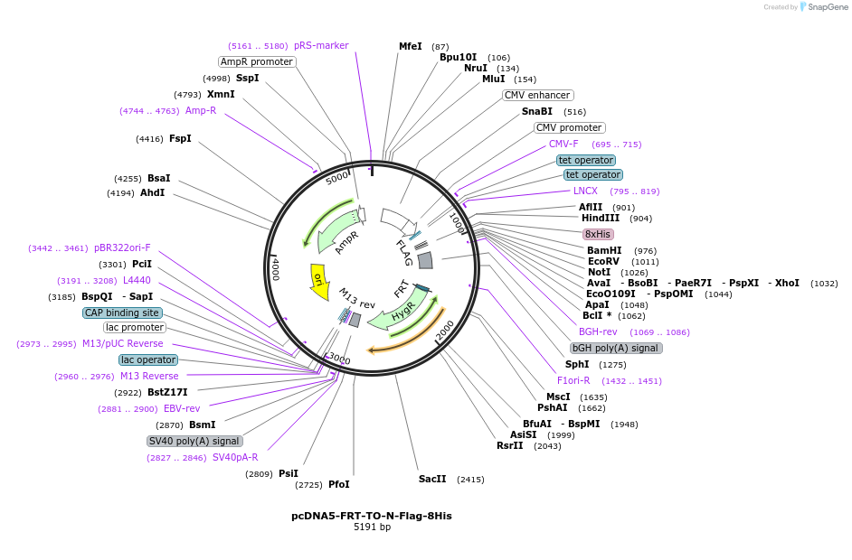 307602_map