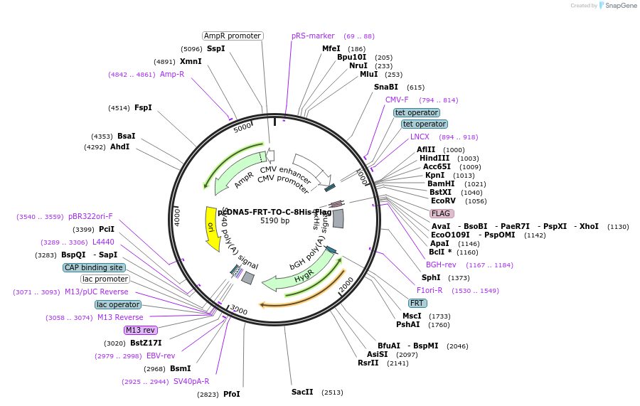 307604_map