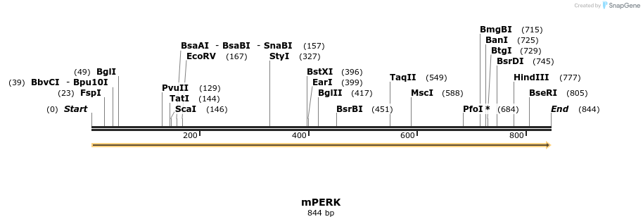 30762_map