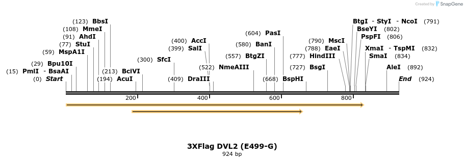 30764_map
