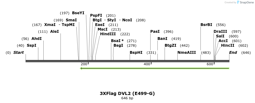 30765_map