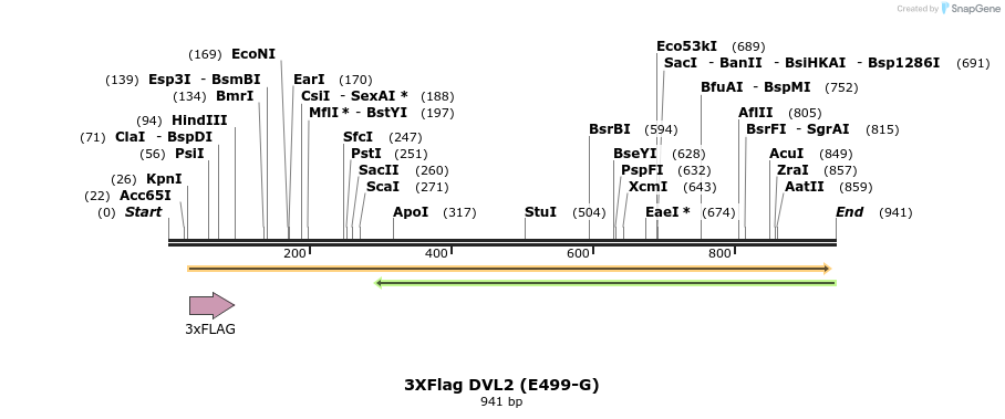 30766_map