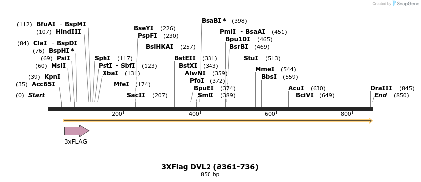 30769_map