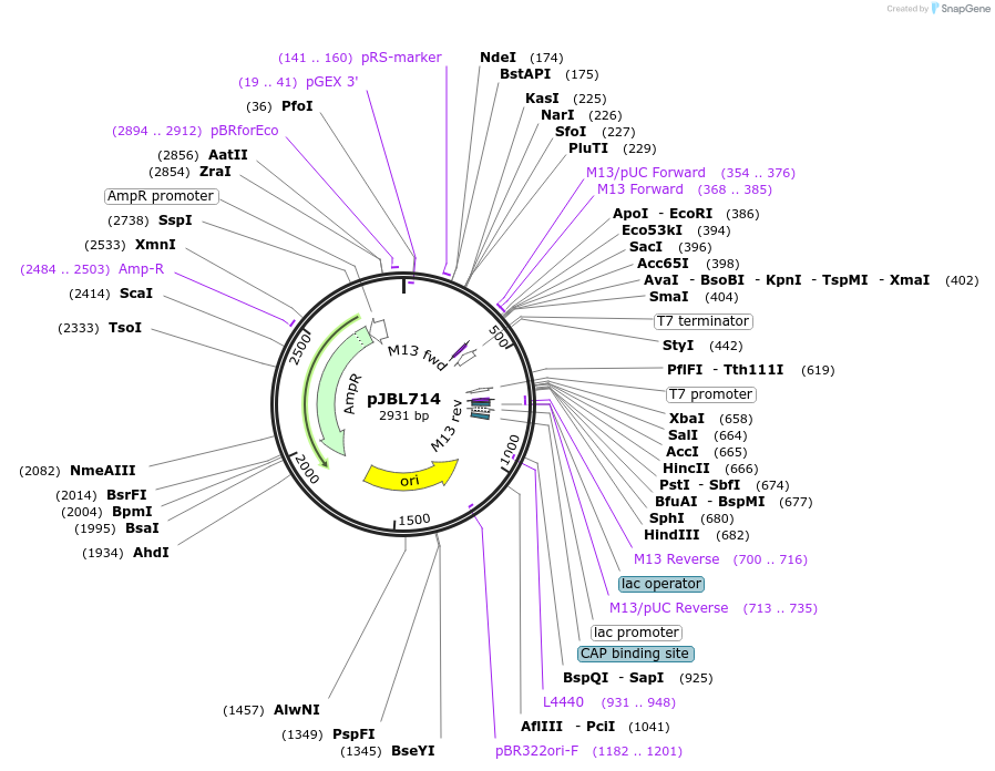 307713_map