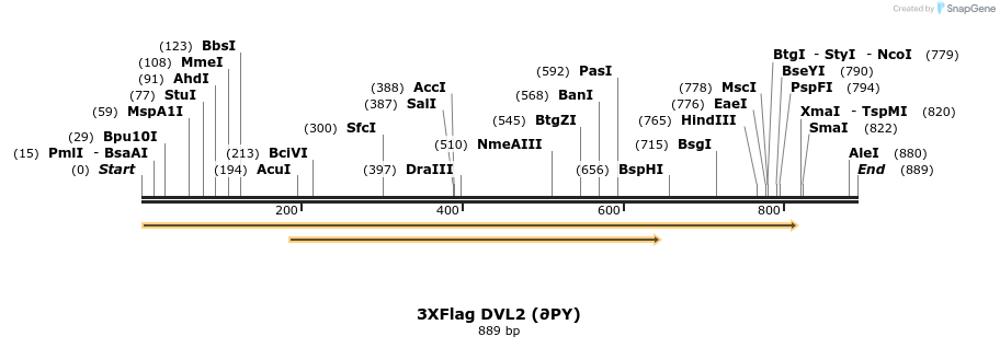 30772_map