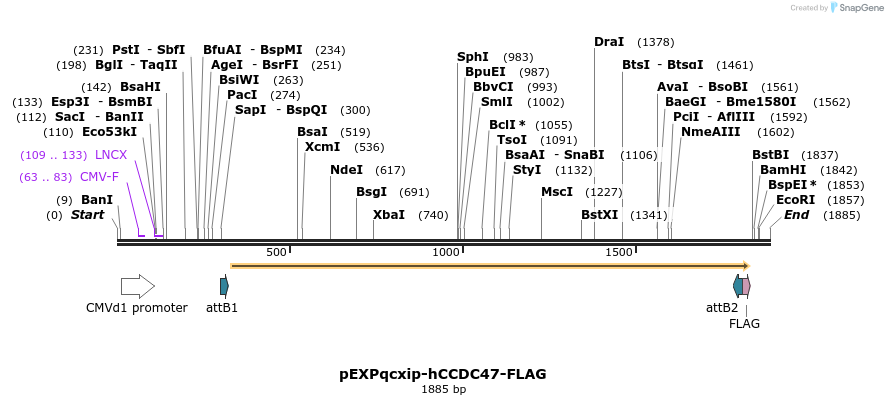 307725_map