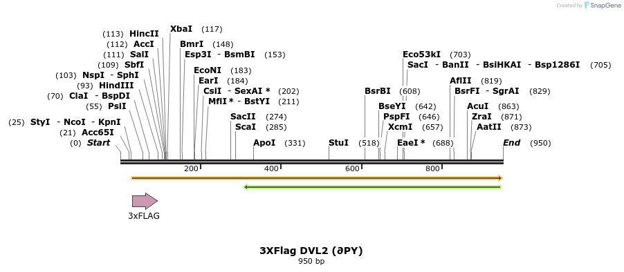 30774_map